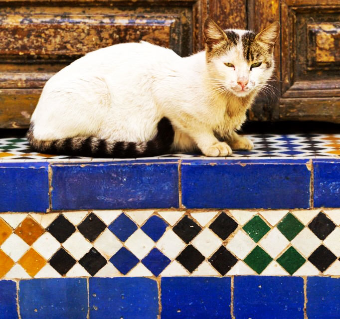 The Geometry In Islam: The Art Of Divine Proportions